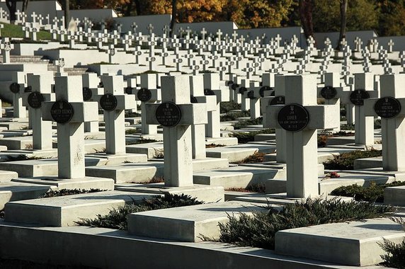 Groby polskich i ukraińskich żołnierzy poległych w latach 1919-1920, Cmentarz Orląt we Lwowie (domena publiczna)