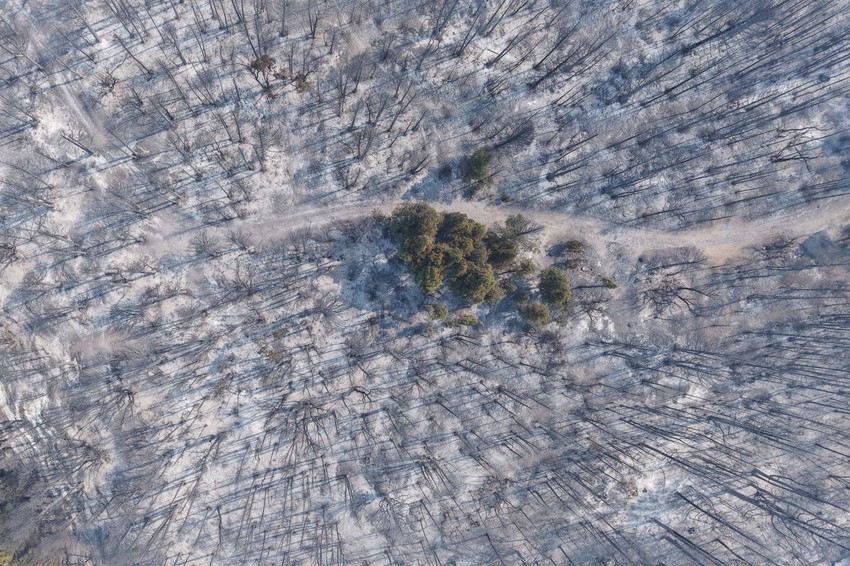 Izgorela šuma u Epujenu u Patagoniji, Argentina, 9. januara