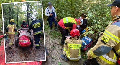 Niepokojące rzeczy dzieją się z grzybiarzami. Ratownicy opublikowali alarmujący wpis