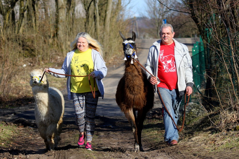 Niezwykłe gospodarstwo agroturystyczne na Kaszubach