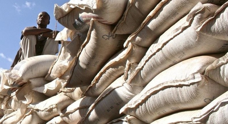 An unidentified government official sits on sacks of wheat donated by the U.S. at a food distribution point near Jijiga, eastern Ethiopia in a file photo. REUTERS/Barry Malone