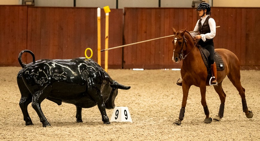 Anna Skrzypek i Notavel do Penedo będą mieli teraz do pokonania ponad 3000 km w jedną stronę. Podróż koni potrwa około 3–4 dni, tak aby po drodze zapewnić im odpowiednie warunki do odpoczynku i regeneracji przed najważniejszym startem sezonu.