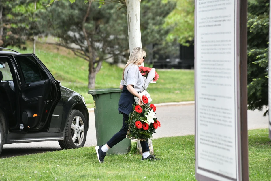 Novo bežanijsko groblje Saša Popović