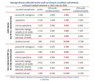 Zarobki w dużych i małych miastach: zobacz, jak różnią się płace Polaków