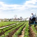 Dopłaty dla rolników na zakręcie. Stracić mogą m.in. kościoły