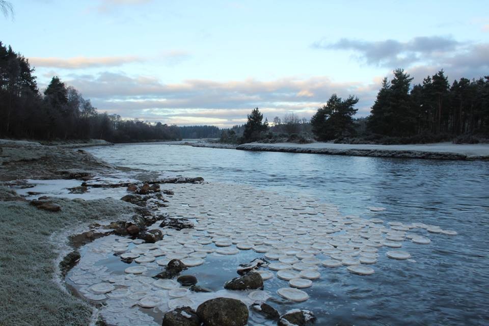 The river Dee