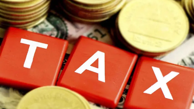 Tax, vital tool for economic development – ODIRS boss 