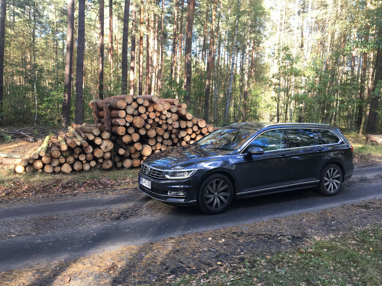 Volkswagen Passat – czy 18-calowe koła to dobry pomysł | Test długodystansowy