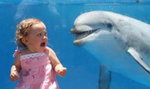 Spotkanie z delfinem. Urocze ZDJĘCIA
