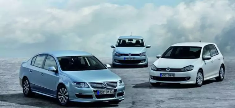 Trzy oszczędne Volkswageny