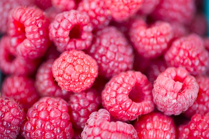 Maline