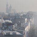 Smog niszczy zdrowie i pochłania miliardy. Każdy Polak traci rocznie nawet 3,2 tys. zł