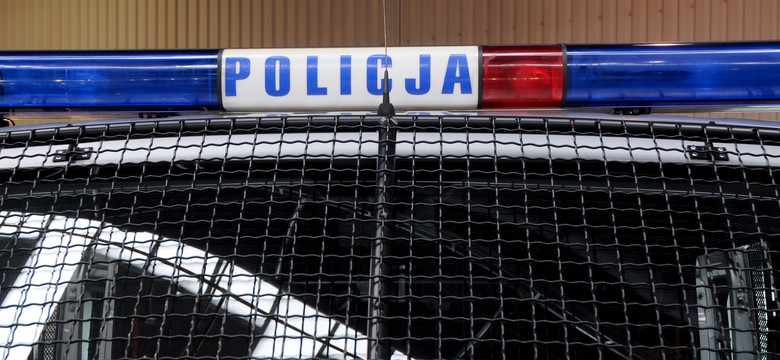 Policjanci odzyskali "Florentynkę" zrabowaną przez hitlerowców