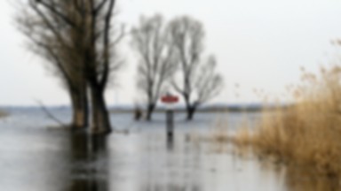 Mamy „podwodny” park narodowy. Widok terenów znajdujących się pod wodą robi wrażenie