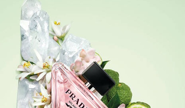 Prada Paradox prafemi