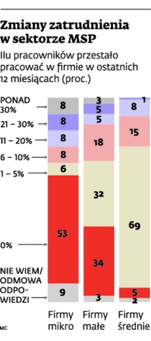 Zmiany zatrudnienia w sektorze MSP
