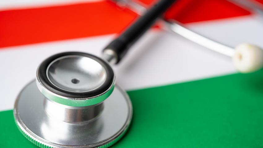 magyar egészségügyi rendszer működése
