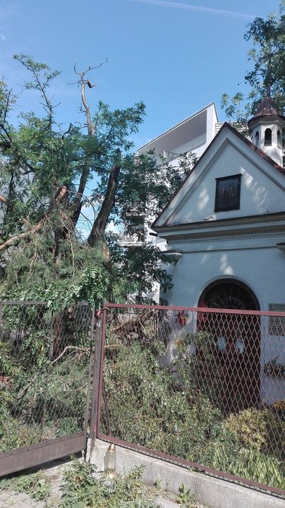 Nawałnica spustoszyła Osiedle Podwawelskie