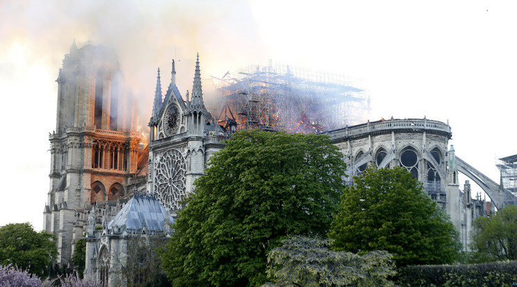 A tavasszal leégett francia székesegyházat a ghánai Volta-tó fáival építhetik újjá / Fotó: Getty Images