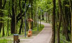 Ten park zachęca do spacerów. Przeszedł metamorfozę