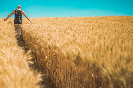 Oto jak zmiany klimatu zmienią preferencje zakupowe konsumentów