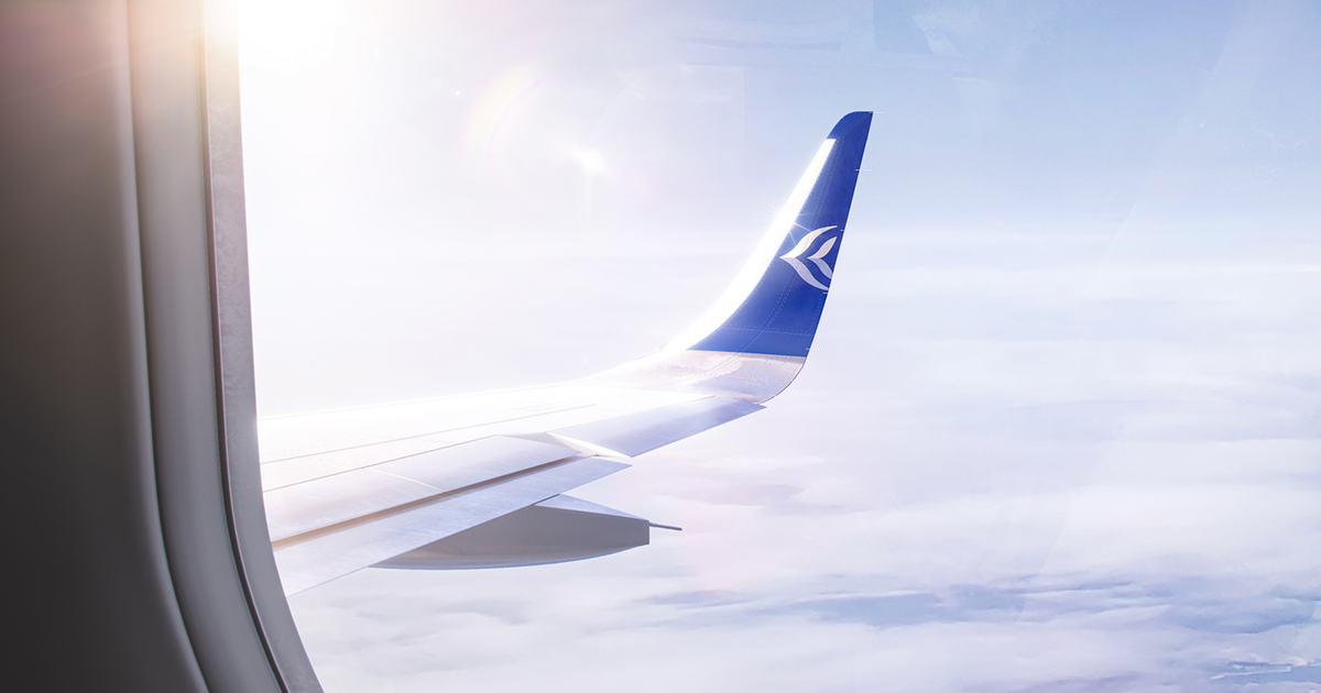 www.aerotelegraph.com