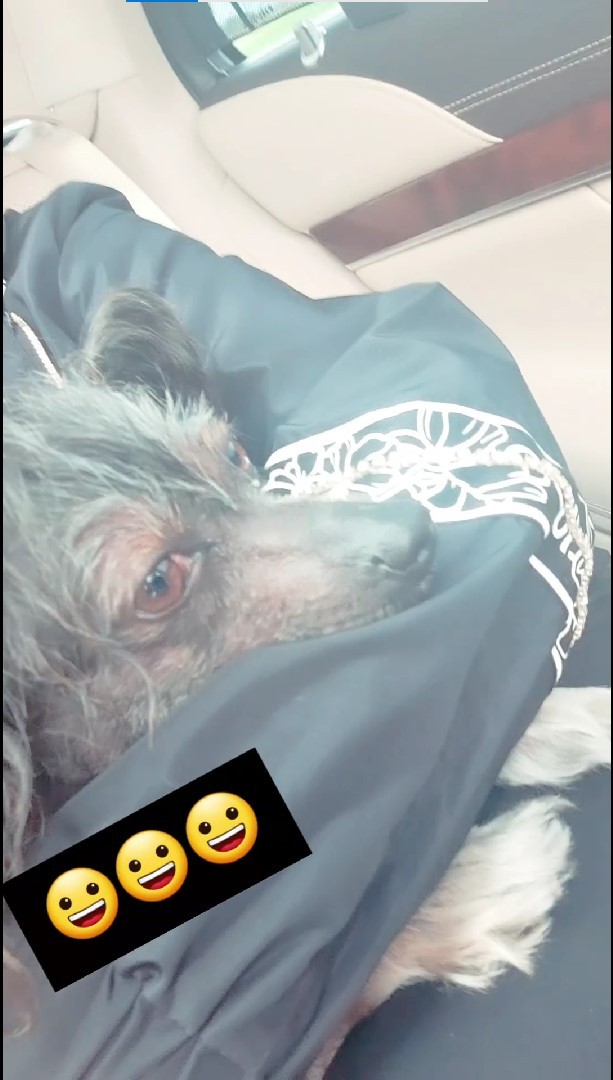 Spoločnosť jej robila aj sučka Šarika. 