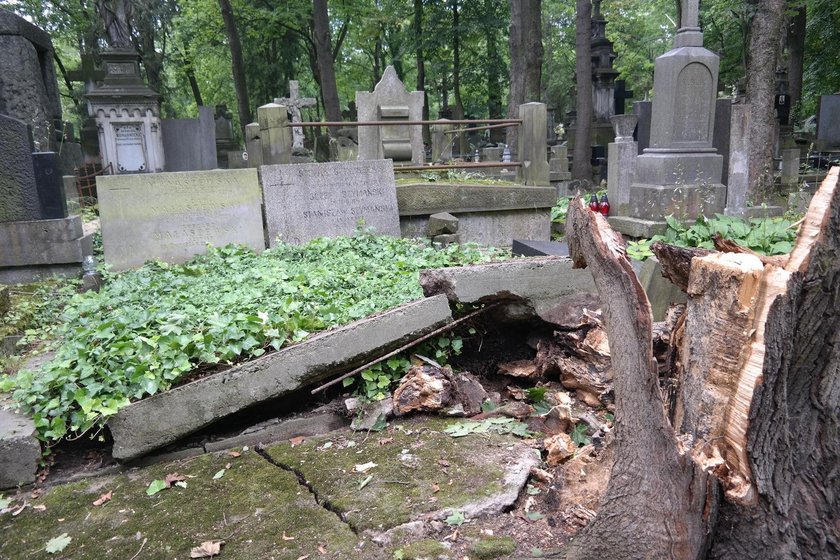 Zniszczone groby na Powązkach