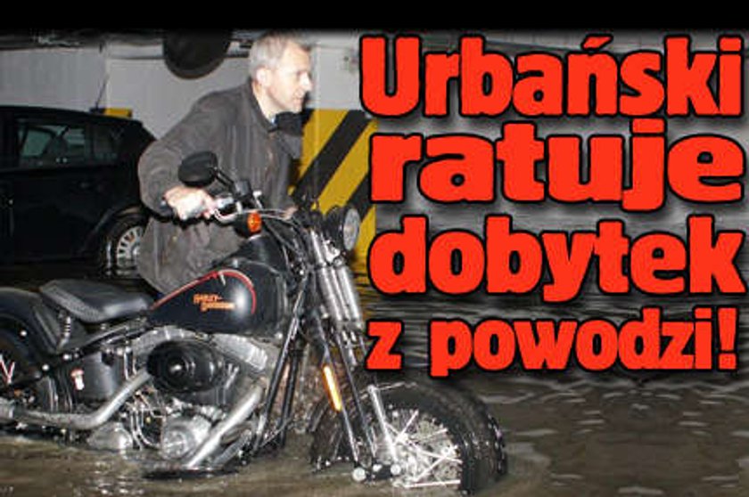 Urbański ratuje dobytek z powodzi. FOTO!