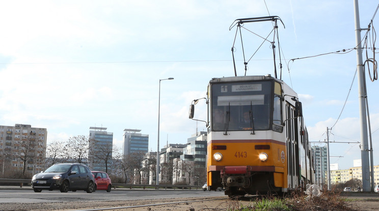 Az 1-es villamoson rúgták le a kutyát a vagonról / Fotó: RAS-archív