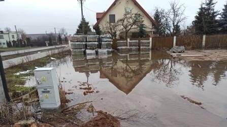 Gołębiew Nowy koło Kutna