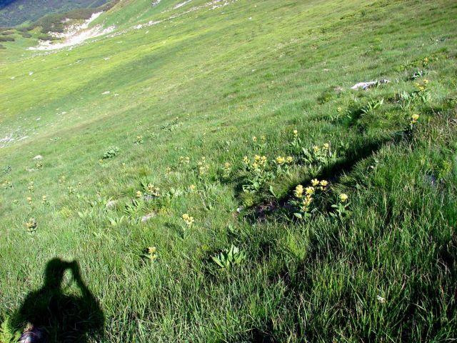 Galeria Polska - Tatry - wycieczka na Grzesia i Rakoń, obrazek 27