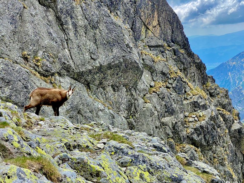 Szanujmy górską przyrodę. Tatry, Słowacja