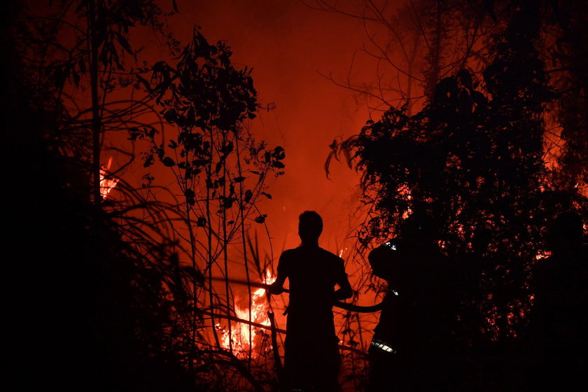 W Indonezji szaleją pożary lasów