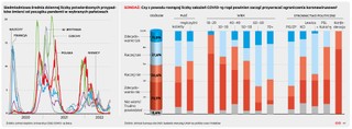 Siedmiodniowa średnia dziennej liczby potwierdzonych przypadków śmierci od początku pandemii w wybranych krajach