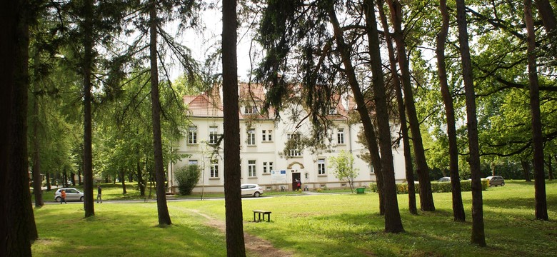 Robią rzeź drzew, żeby zbudować parking. "Najstarsze mają 80 lat"