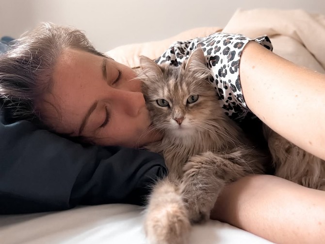 Ana je raskinula sa dečkom i od tog dana njena sibirska mačka uporno radi jednu stvar