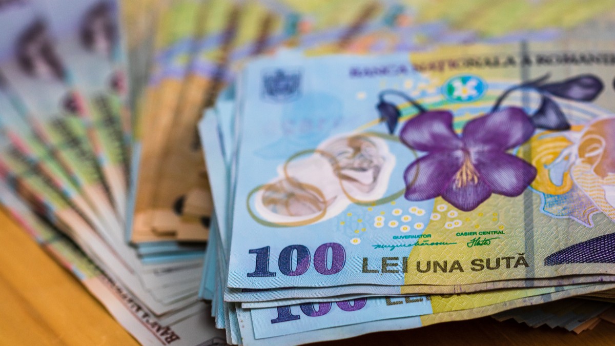 INS: Veniturile totale medii lunare pe gospodărie au fost, în trimestrul II 2026, de 10204 lei, în timp ce cheltuielile au atins 8650 lei