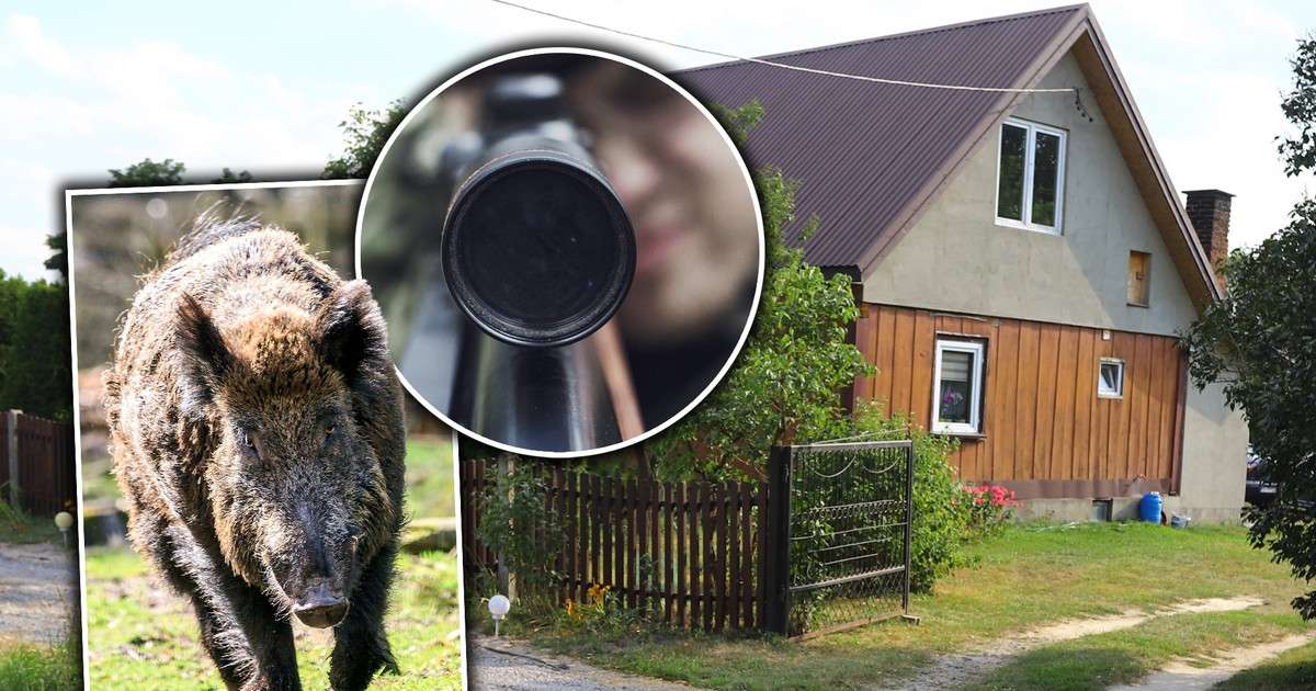 Podczas polowania w Młyniskach pomylił człowieka z dzikiem. Śledczy mają sensacyjną hipotezę