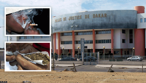 Palais-de-justice-de-Dakar,-chanvre-indien
