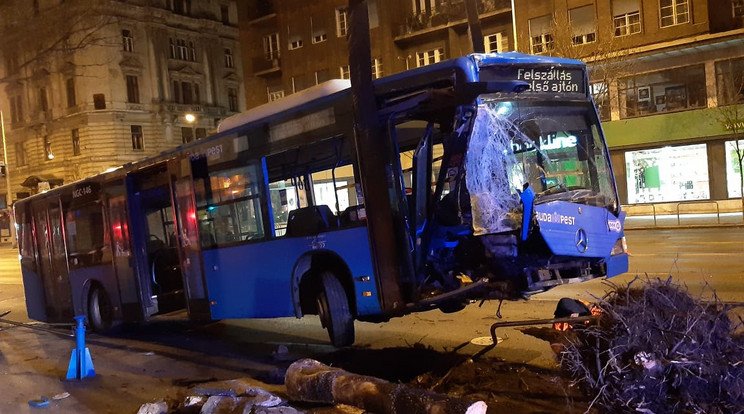 Fát és korlátokat döntött a busz az éjjel a Rákóczi úton / Fotó: baleset-info.hu
