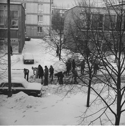 'Było zupełnie biało, jak w zupie mlecznej'. Jak wyglądała zima stulecia?