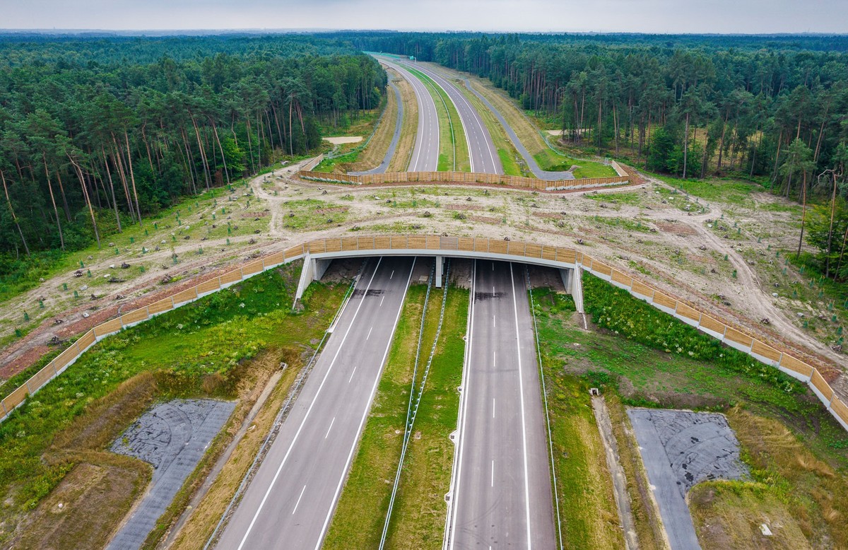Górne przejście dla dużych zwierząt budowane w ramach drogi S1 Oświęcim - Dankowice