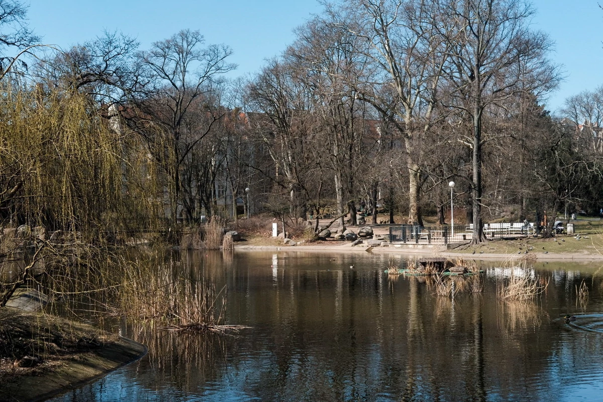  Poznań: Kilkanaście martwych ptaków w parku. Służby podjęły trop