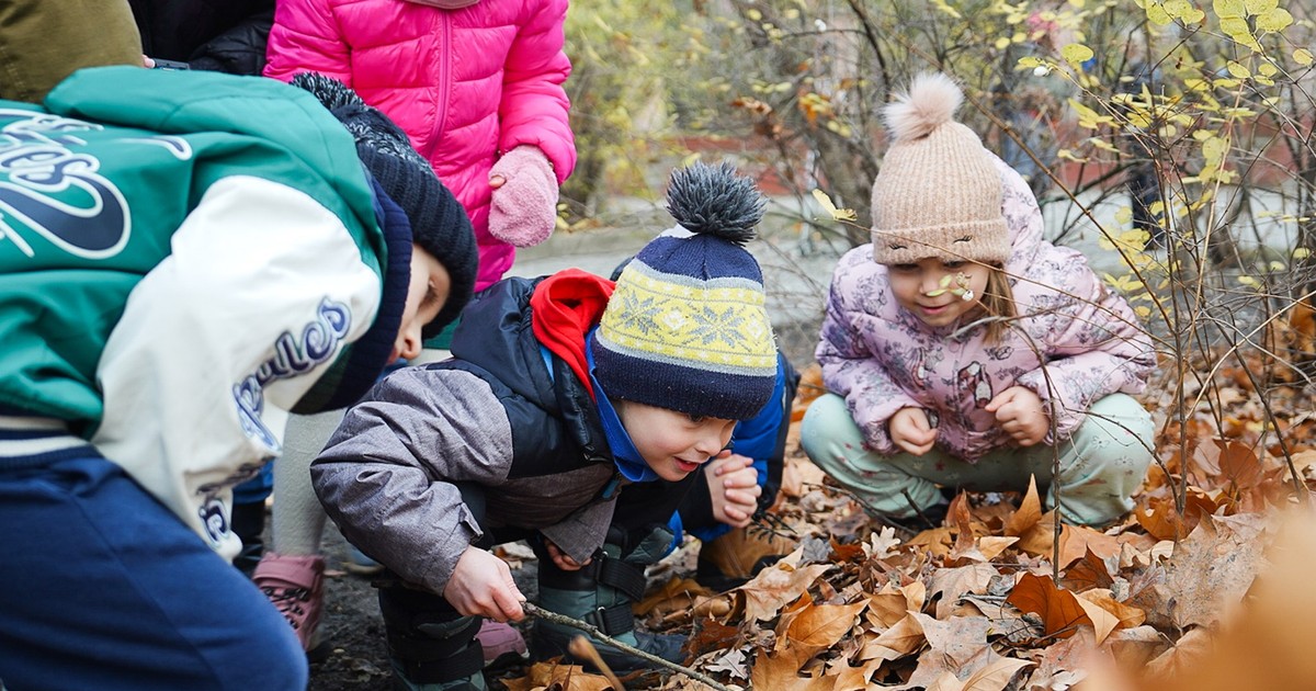 Jesienne liście, czyli nauka ekologii – to jest super!