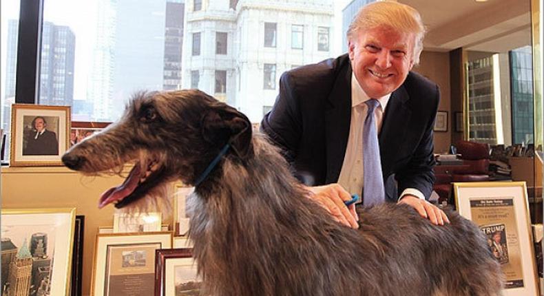 President Trump bans eating of dogs and cat in U.S.