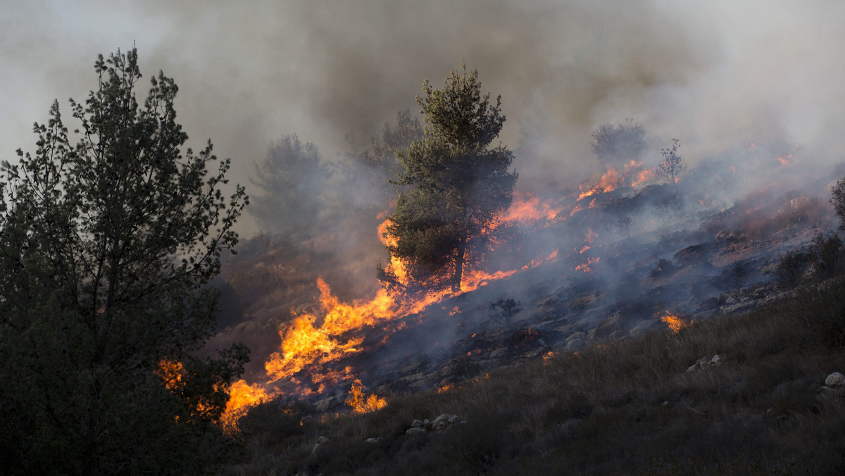 Izraelski rząd zwrócił się do Grecji i Chorwacji o samoloty mające pomóc w walce z pożarami lasów, szalejącymi od dwóch dni w środkowej i północnej części Izraela - poinformował premier Benjamin Netanjahu.