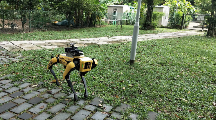 Szingapúrban robot kutyákat alkalmaznak a COVID19 miatti szociális távolság betartatására / Fotó: MTI/EPA