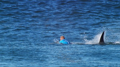 Mistrz świata w surfingu zaatakowany przez rekina