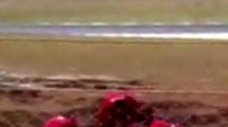 Megrázó felvételek az elhunyt brazil motorversenyzőről – videó!